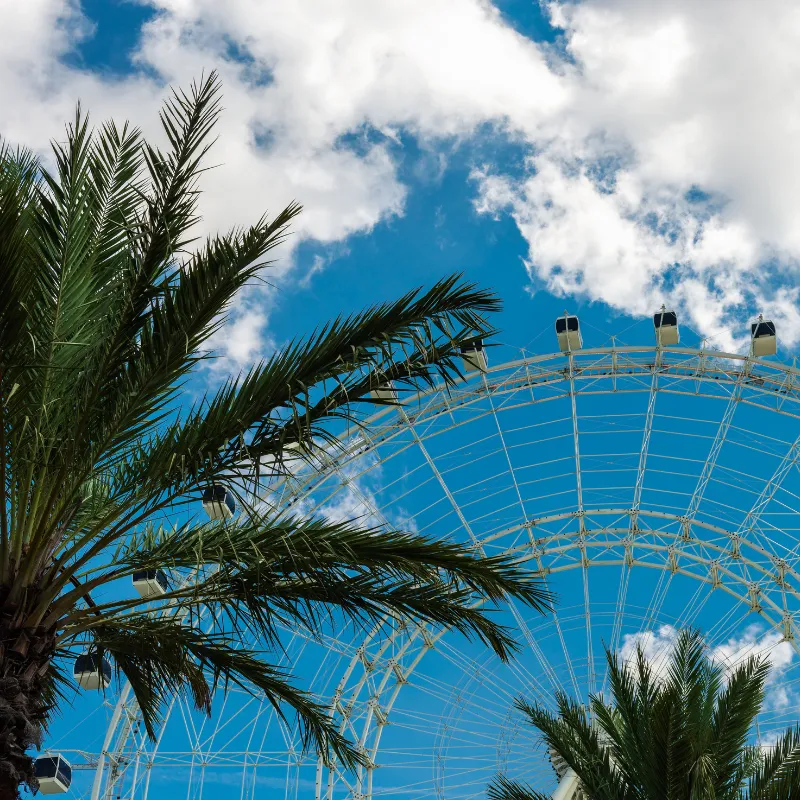 Munster Rooftop Installation/Repair