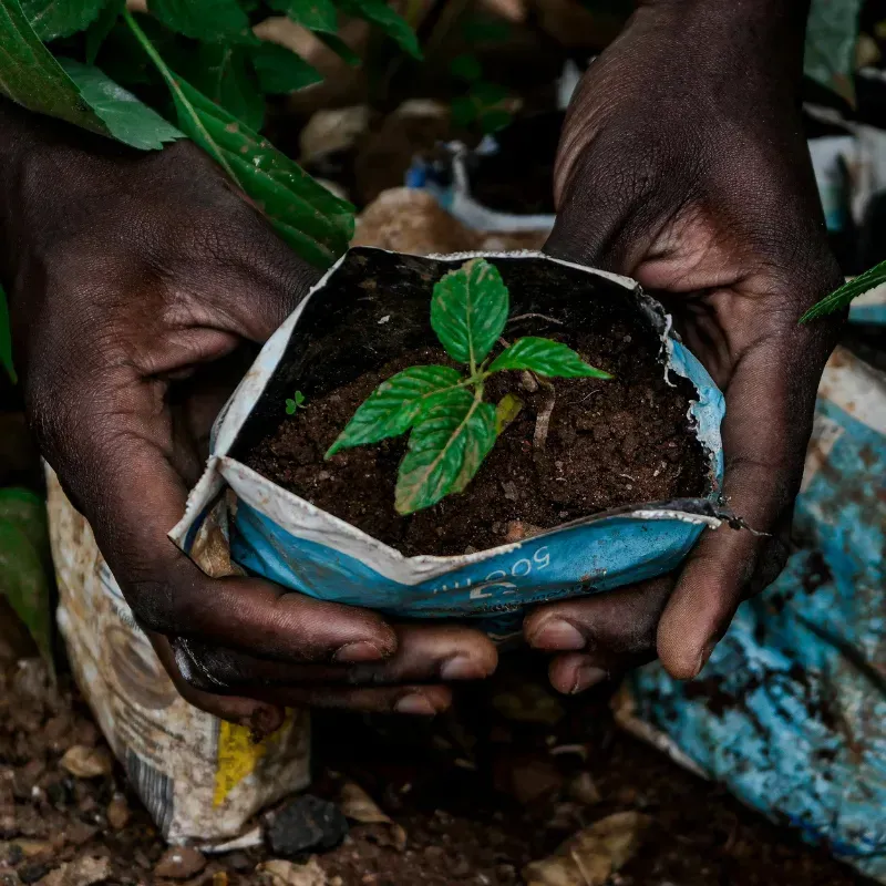Highland Thermostat Installation