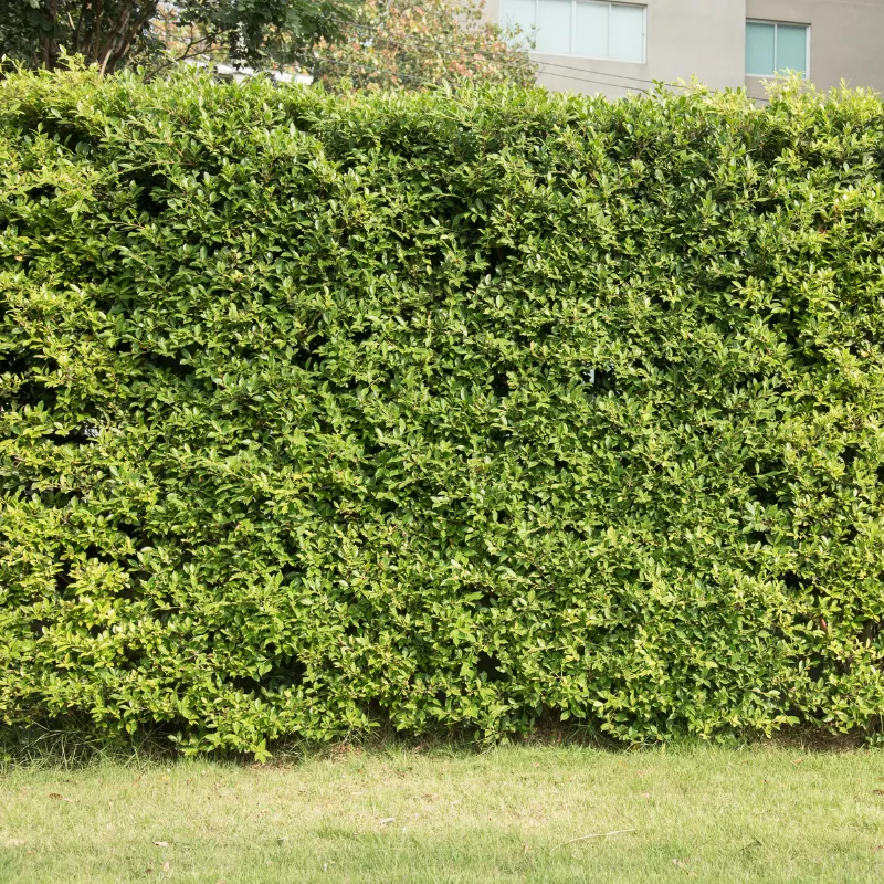 Hammond Furnace Installation & Repair