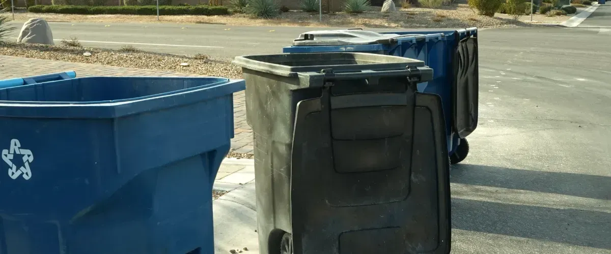 Row of dirty black and blue trash bins on the street awaiting pickup in a dry suburban area.