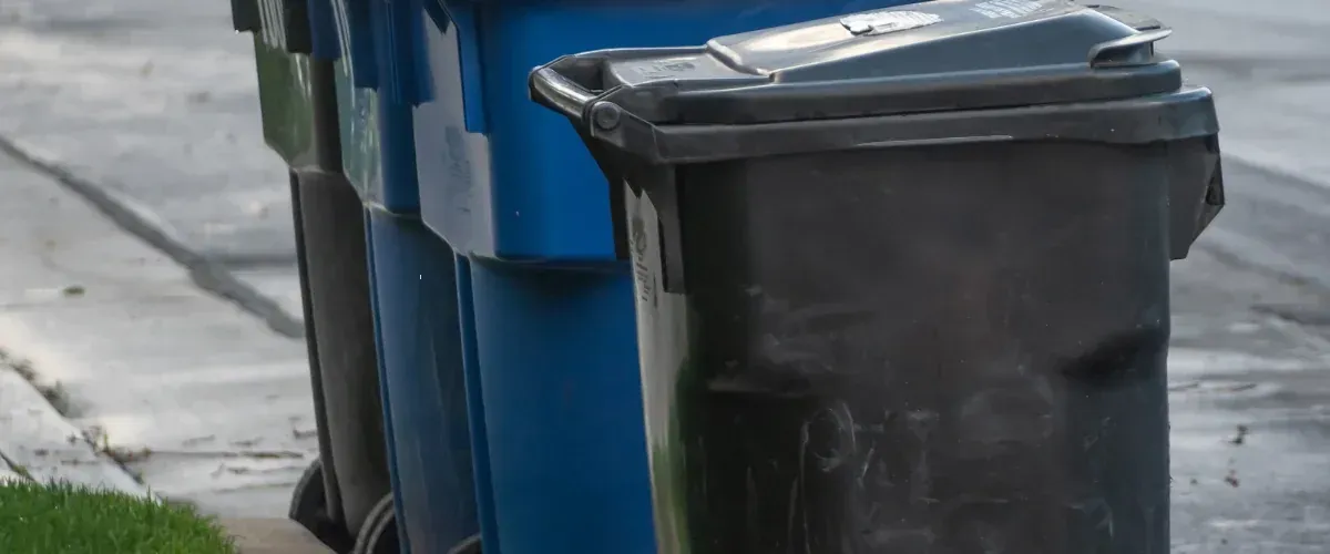 Curbside view of residential trash and recycling bins lined up for collection.