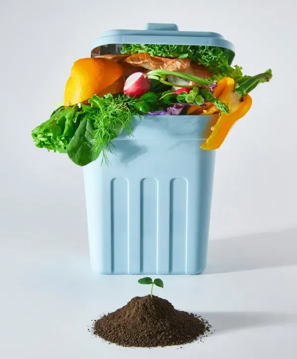 An overfilled compost bin containing fruit and vegetable scraps, with a small pile of soil and a sprouting seedling in front