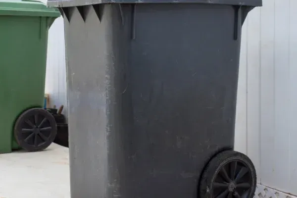Trash Can Cleaning in Stallings: A Simple Way to Protect Your Home and Health