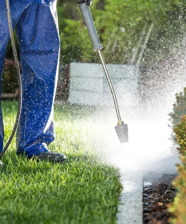 A person in blue overalls power washing a pathway next to a green lawn and shrubs.