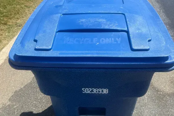 10 Signs It's Time to Clean Your Trash Cans in Wesley Chapel, NC
