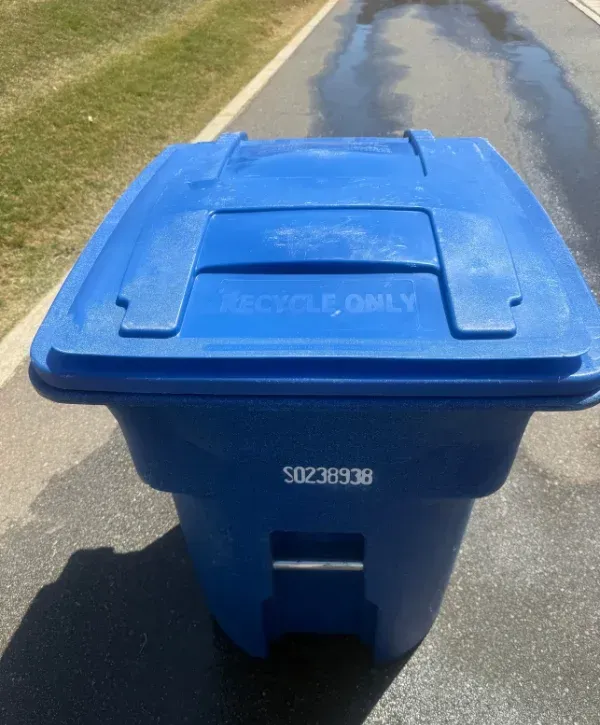 A bright blue recycling bin and a dark green trash bin stand side-by-side on a sunny day.