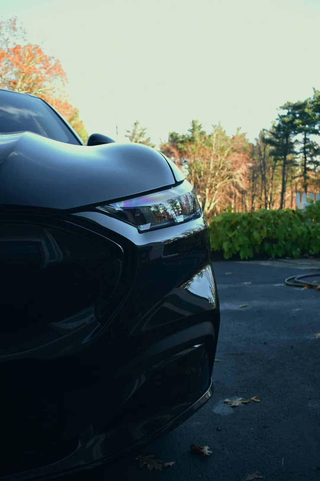 exterior detailing near me