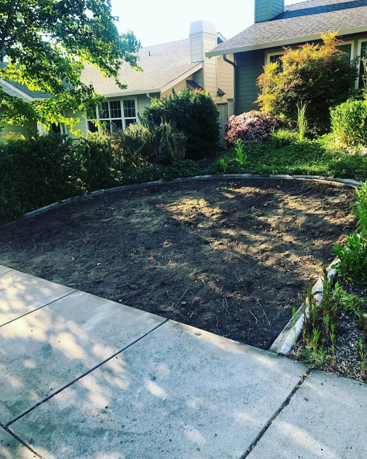 After excavation work of clearing land in Ashland, Oregon