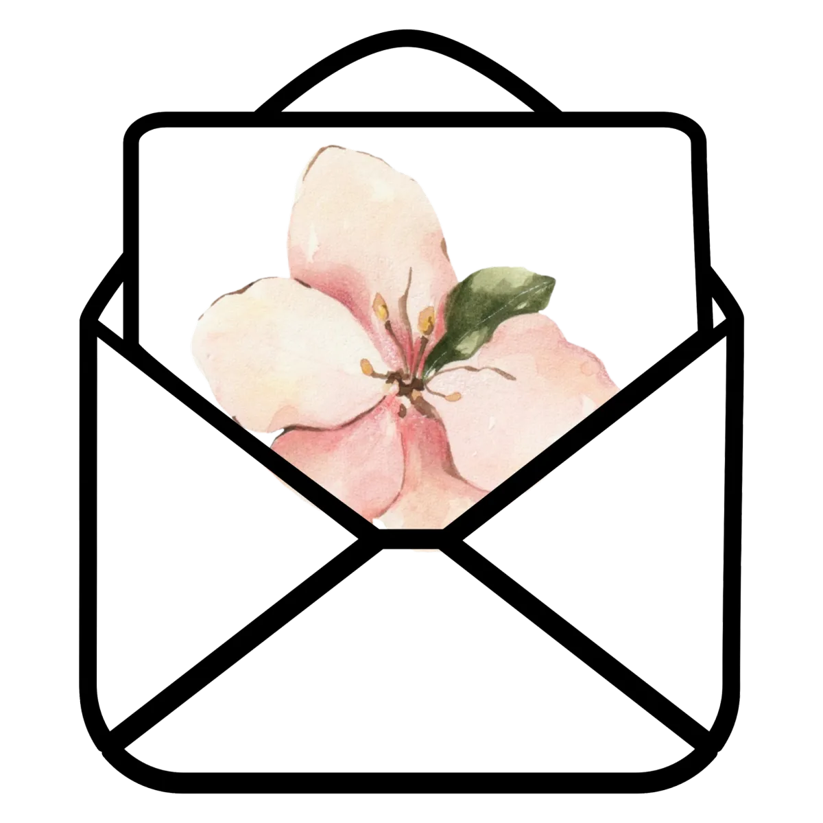 Subscribe to Salt & Light Apothecary