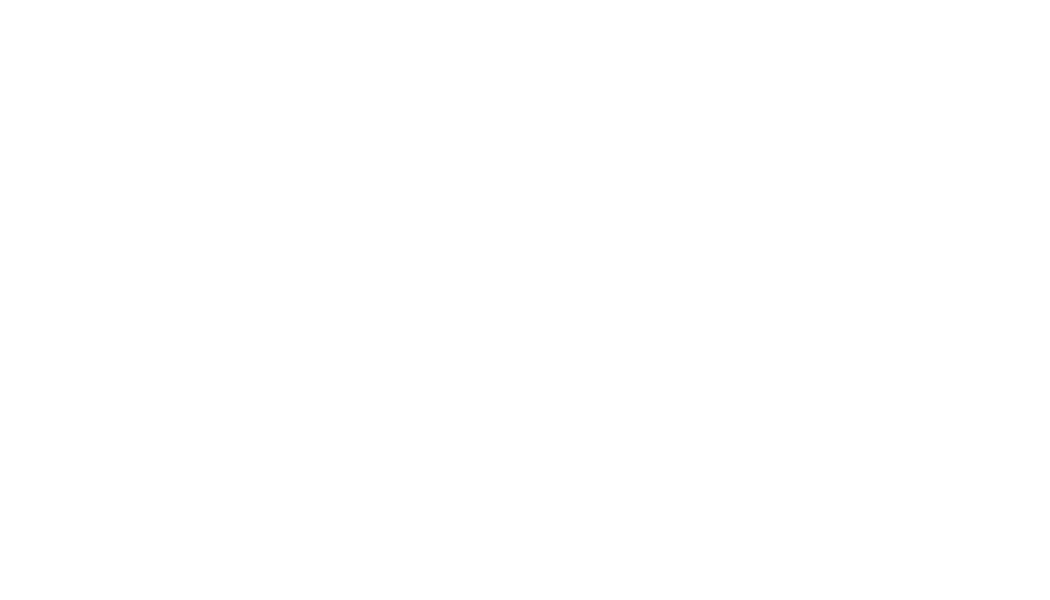 Video Producer