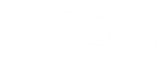 Lumira Aesthetics Brand Logo