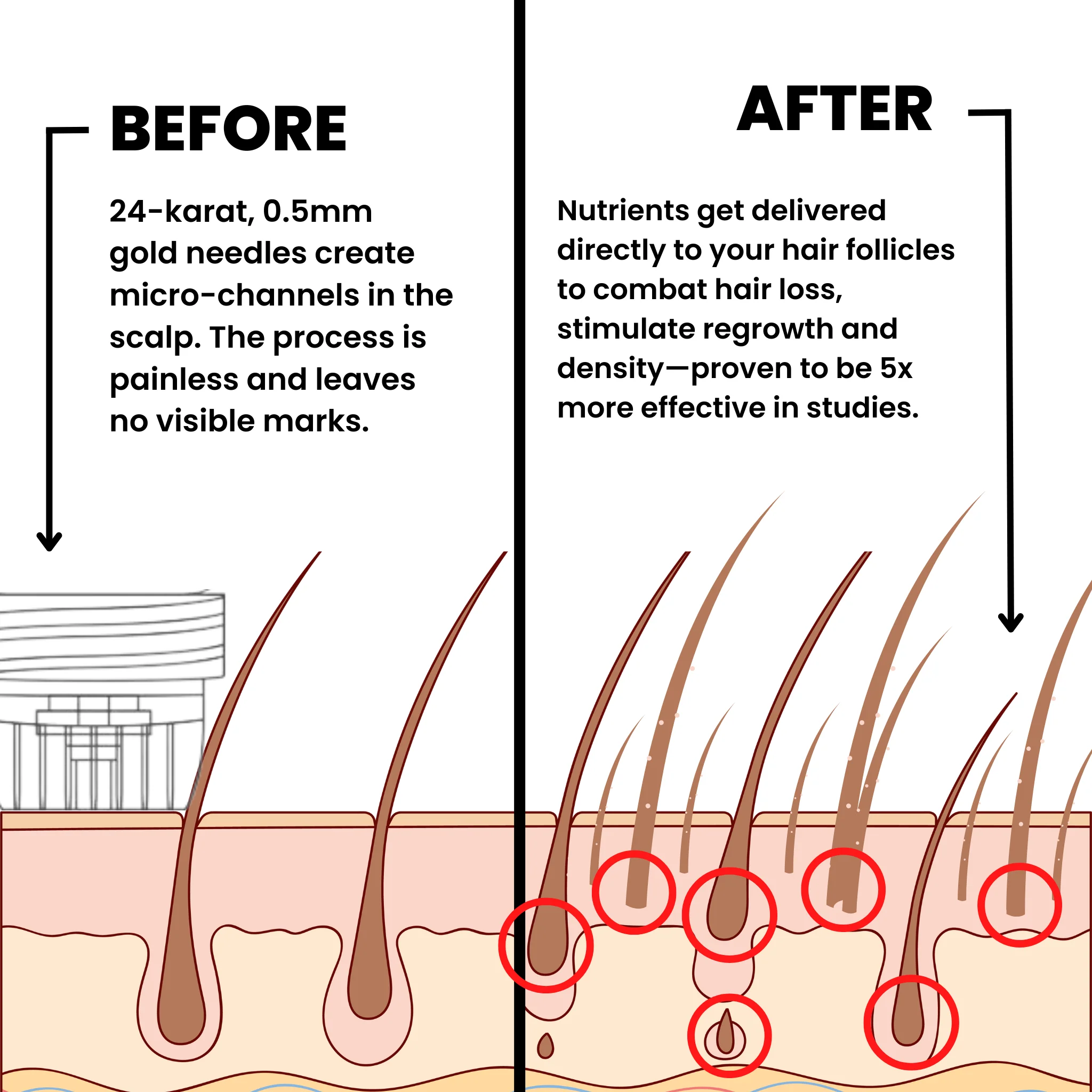 Activator Hair Before and After