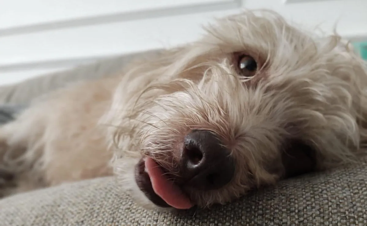 Support the Journey (Buy Us a Coffee)