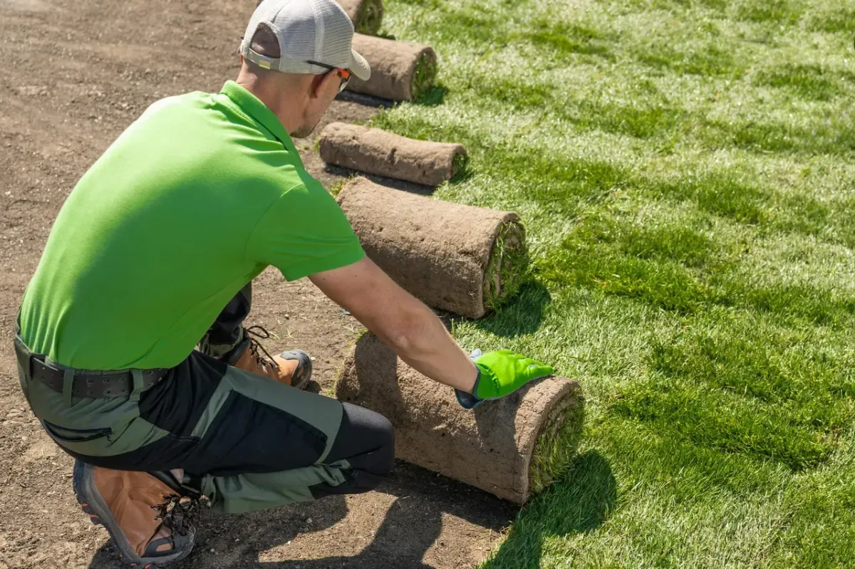 Sod Installation in Colorado Springs