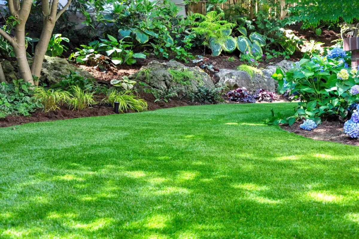 Lawn Remodel in Colorado Springs