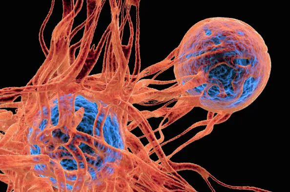 Prueba Genetica para Cancer