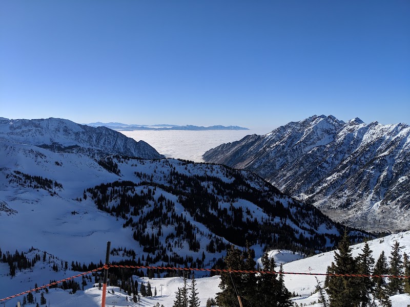 {{ custom_values.service_1 }} in {{custom_values.biz_area_1})