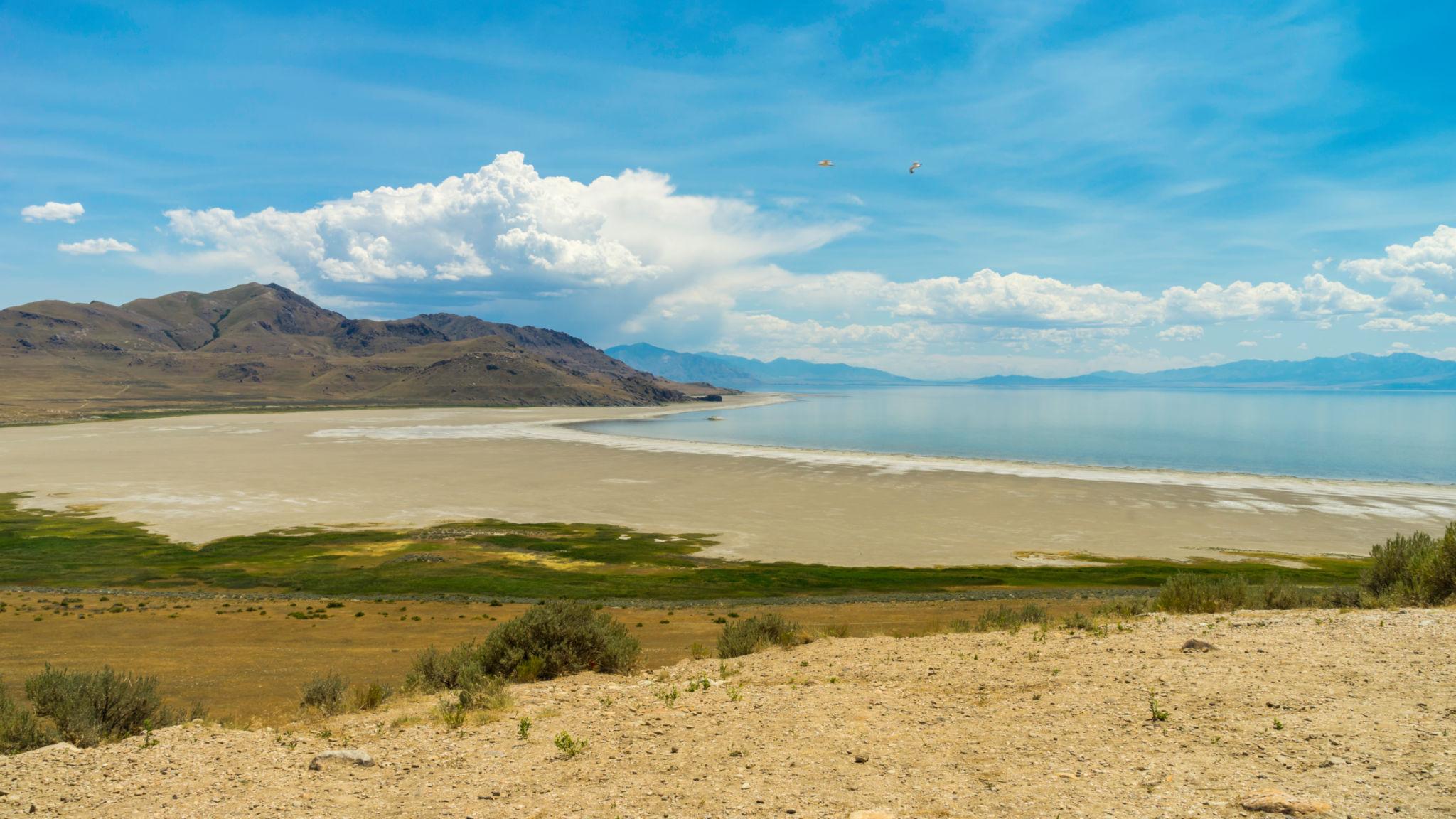 {{ custom_values.service_1 }} in {{custom_values.biz_area_1})