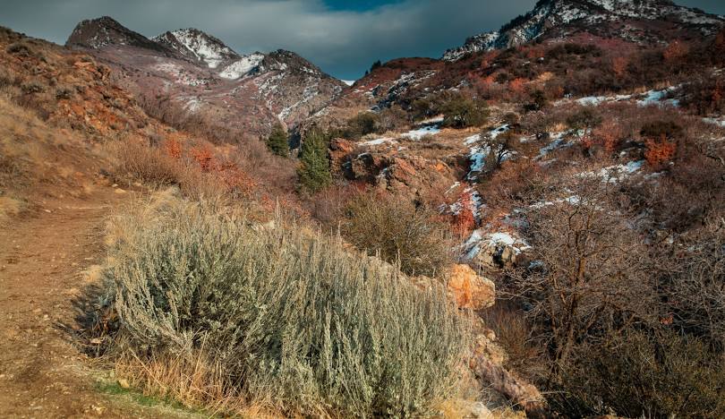 {{ custom_values.service_1 }} in {{custom_values.biz_area_1})