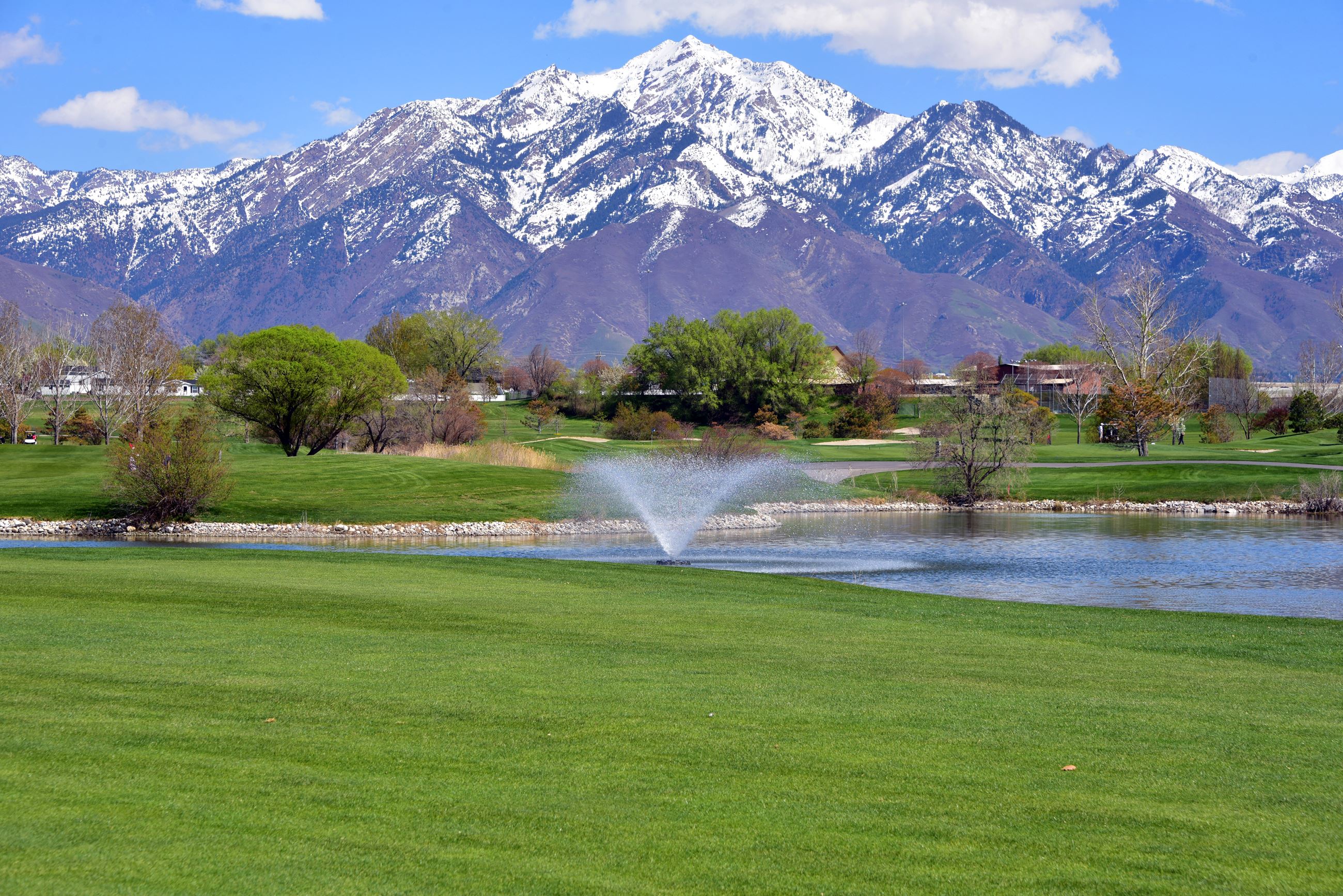 {{ custom_values.service_1 }} in {{custom_values.biz_area_1})