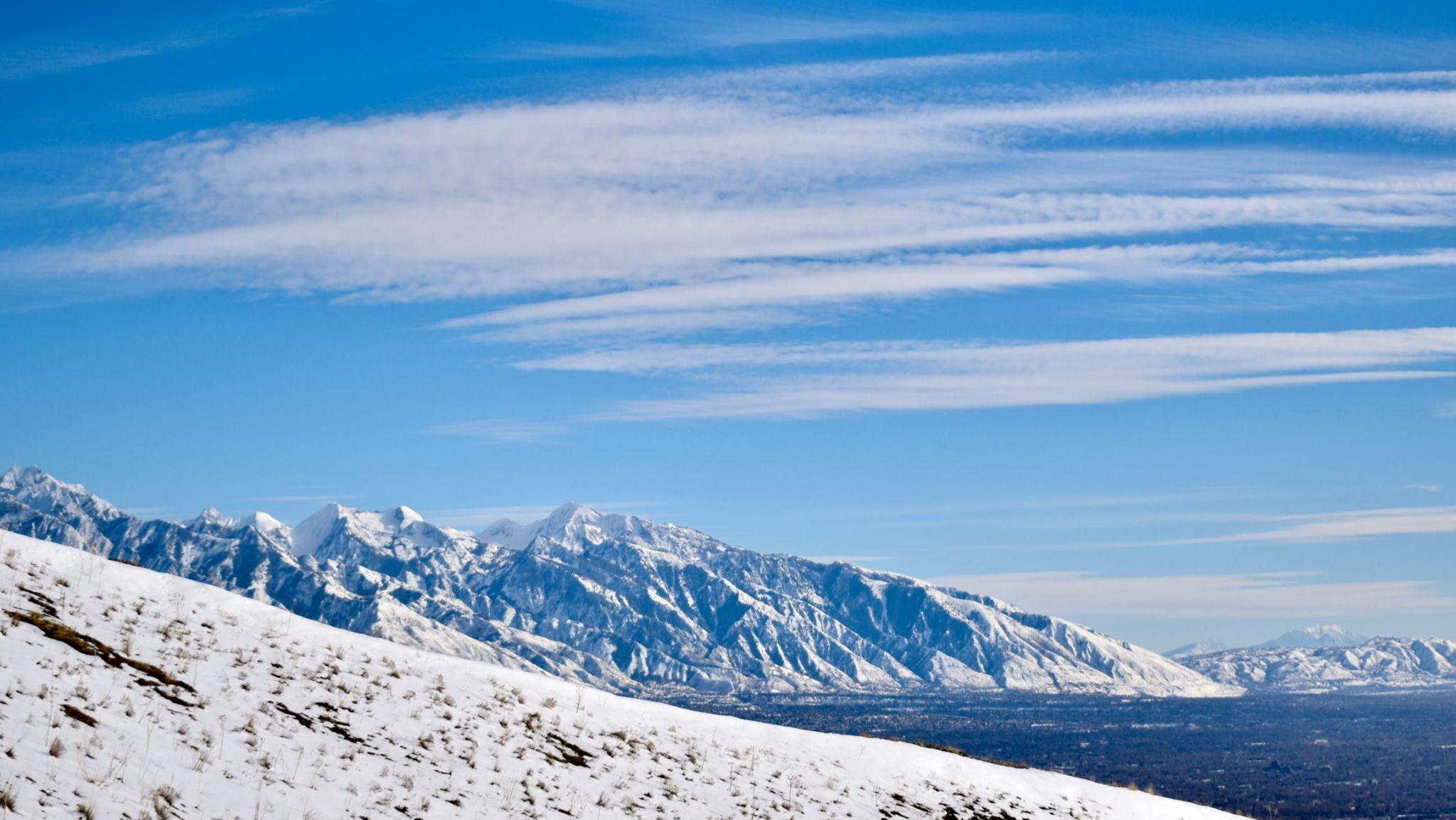 {{ custom_values.service_1 }} in {{custom_values.biz_area_1})