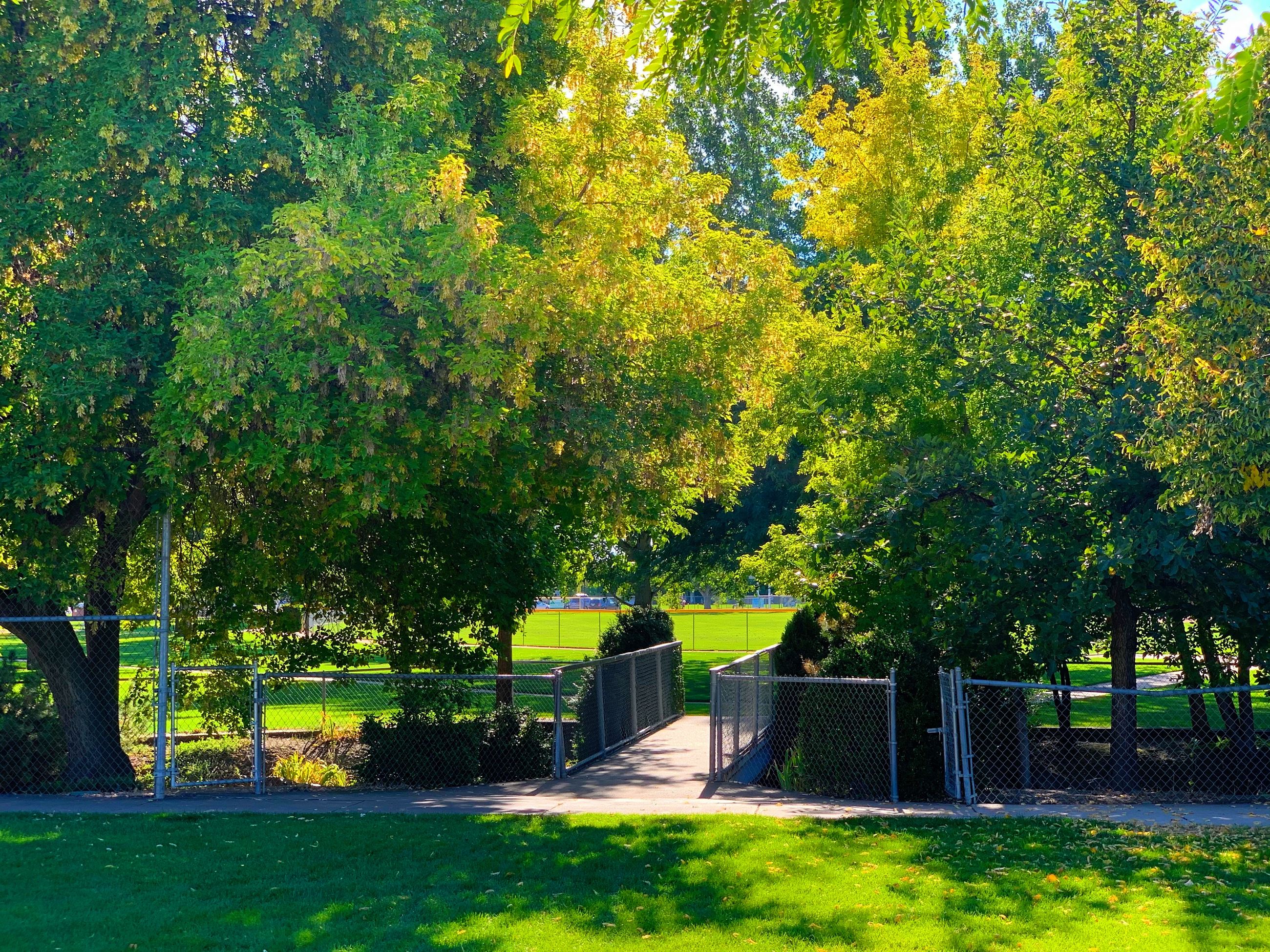 {{ custom_values.service_1 }} in {{custom_values.biz_area_1})