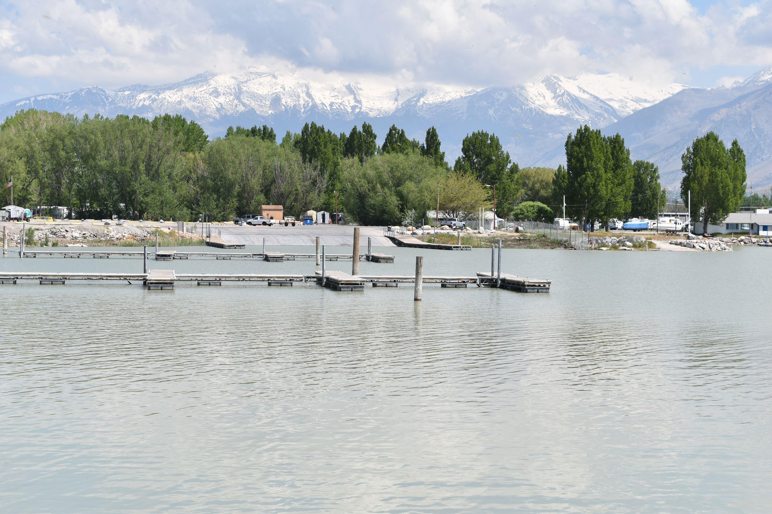 {{ custom_values.service_1 }} in {{custom_values.biz_area_1})