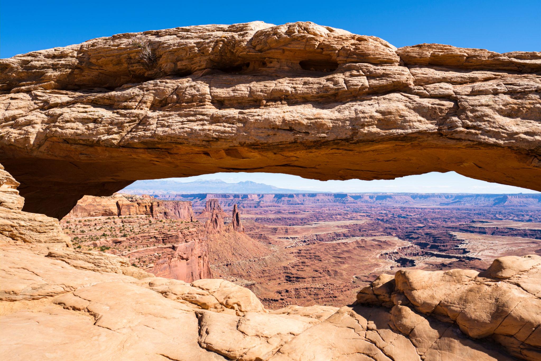 {{ custom_values.service_1 }} in {{custom_values.biz_area_1})