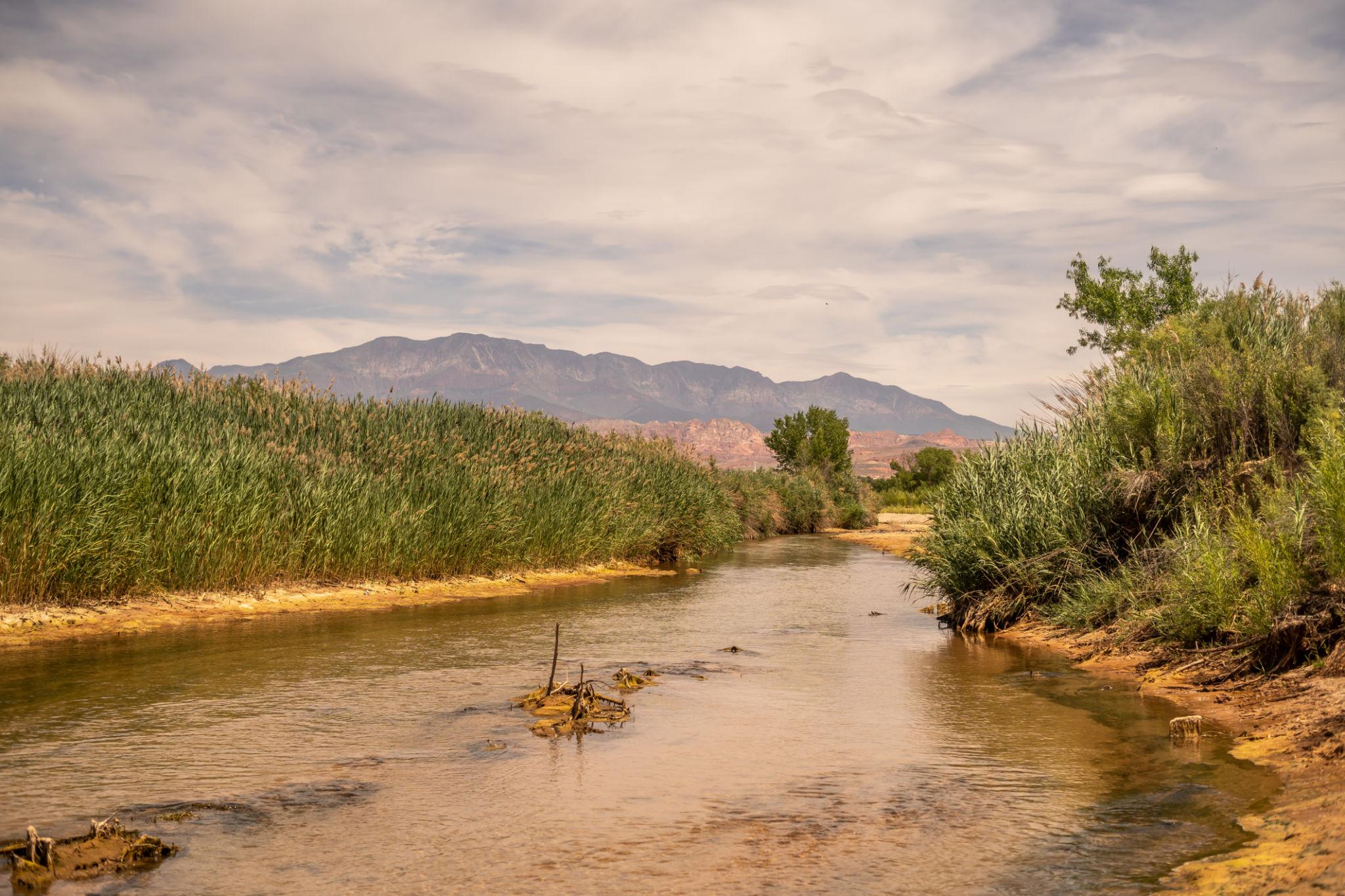 {{ custom_values.service_1 }} in {{custom_values.biz_area_1})