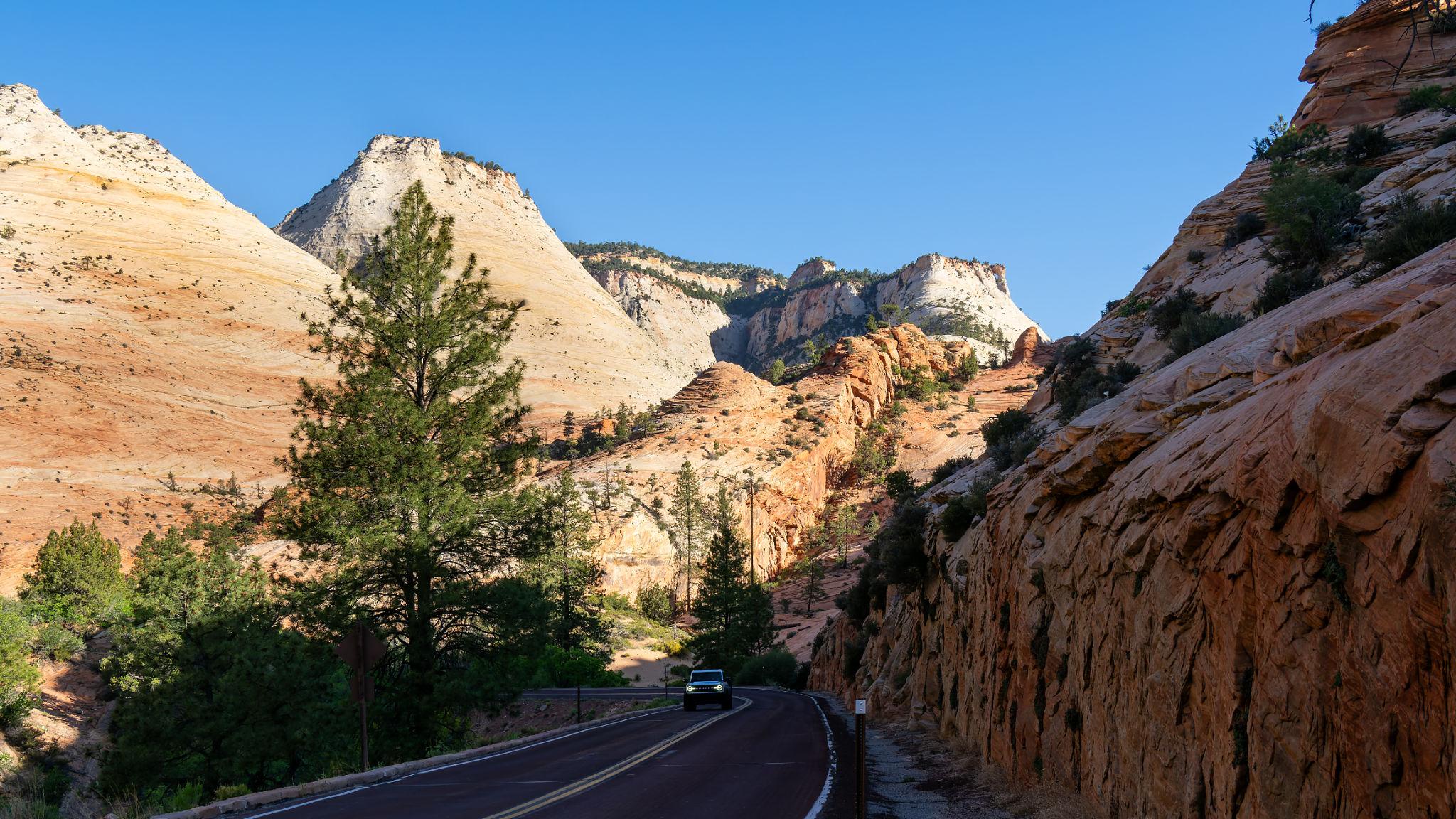 {{ custom_values.service_1 }} in {{custom_values.biz_area_1})