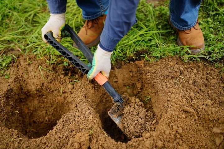 Plumbing Issues That Start With Landscaping Projects
