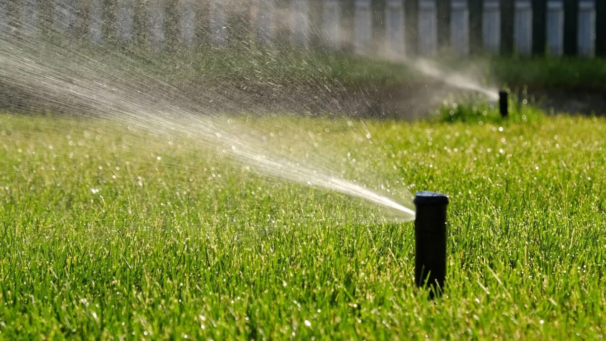 landscaping in Carlsbad North