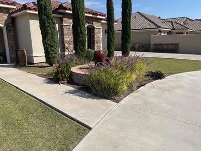 Property Cleanups in La Huerta