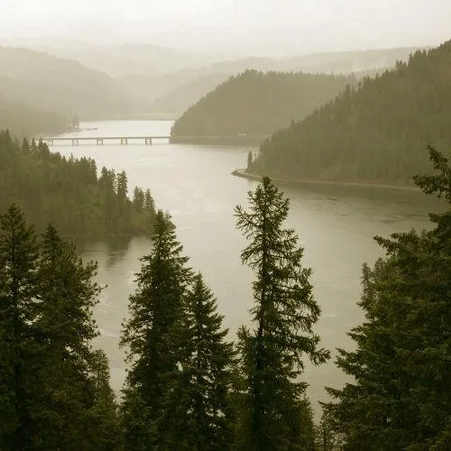 lake coeur d'alene view