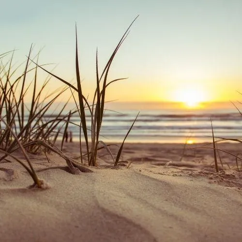 honeysuckle beach image in hayden