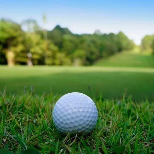 close up golf ball from avondale golf course