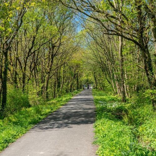 Image of north idaho centennial trail