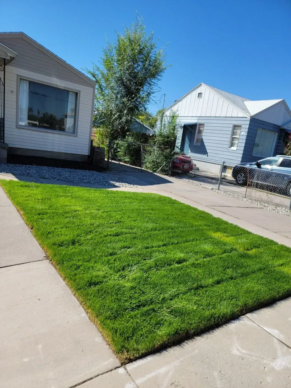 New green sod laid in a Utah front yard