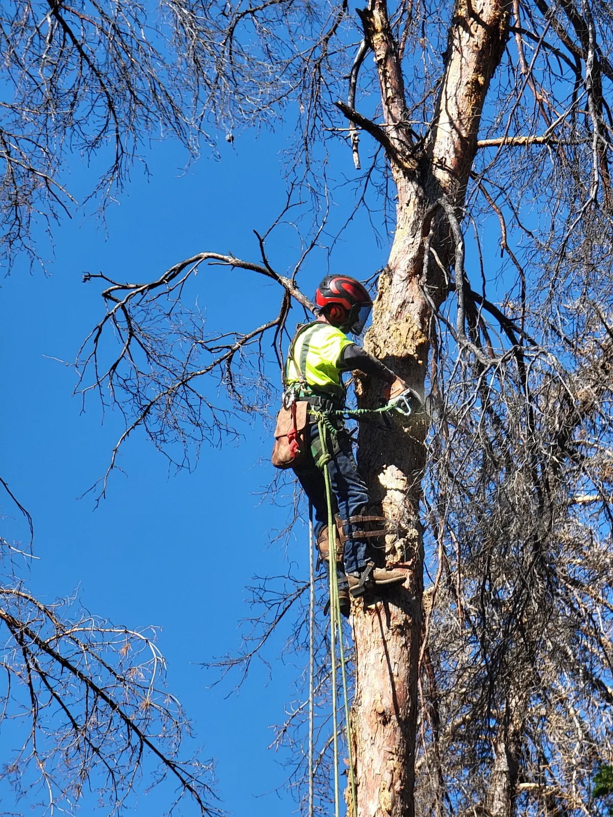 West Valley City landscape service deals