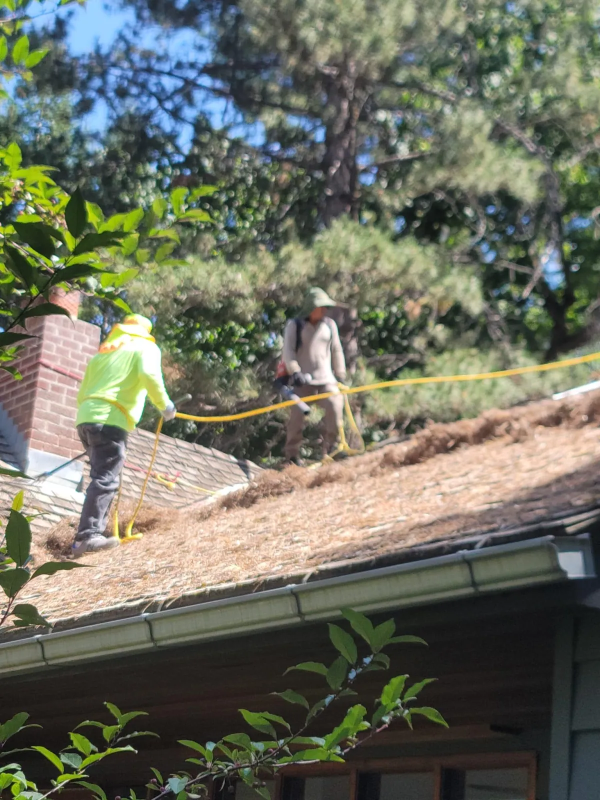 Fall leaf removal by Howard and Family Lawn Service in West Valley City