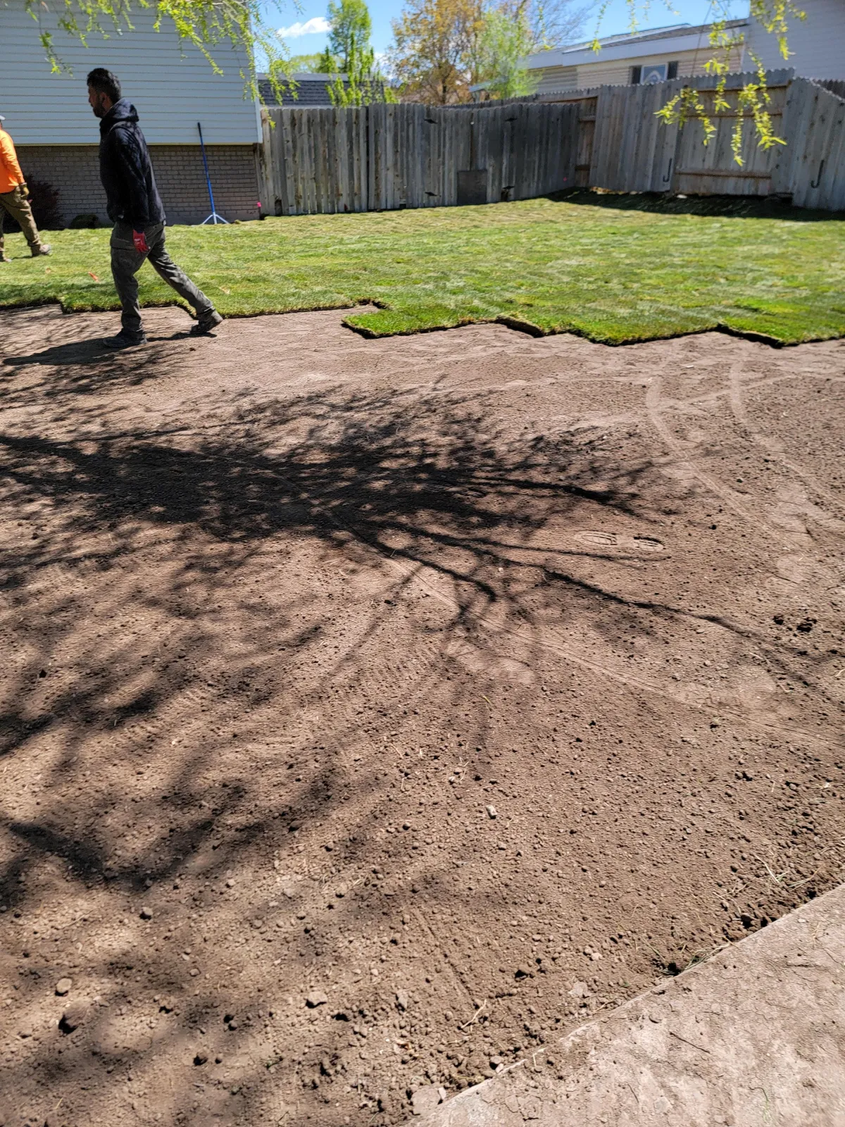 Close-up of healthy sod rolls being laid by Howard & Family Lawn Services in West Valley City for a vibrant new lawn