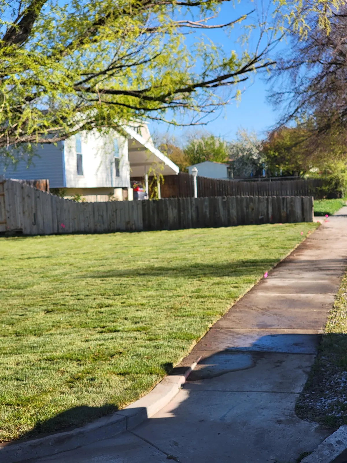 New green sod laid in a Utah front yard