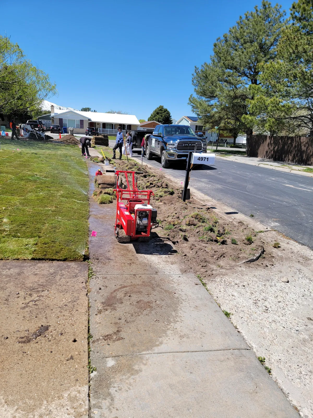 New green sod laid in a Utah front yard