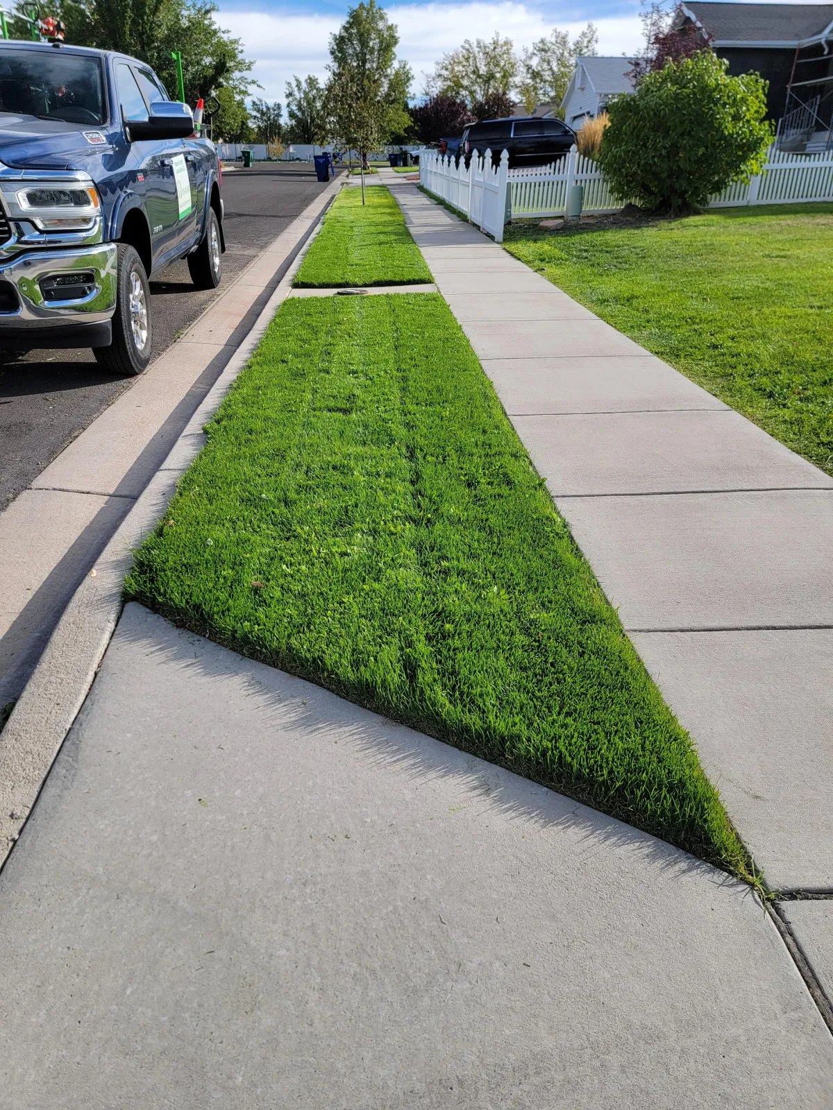 affordable lawn mowing West Valley