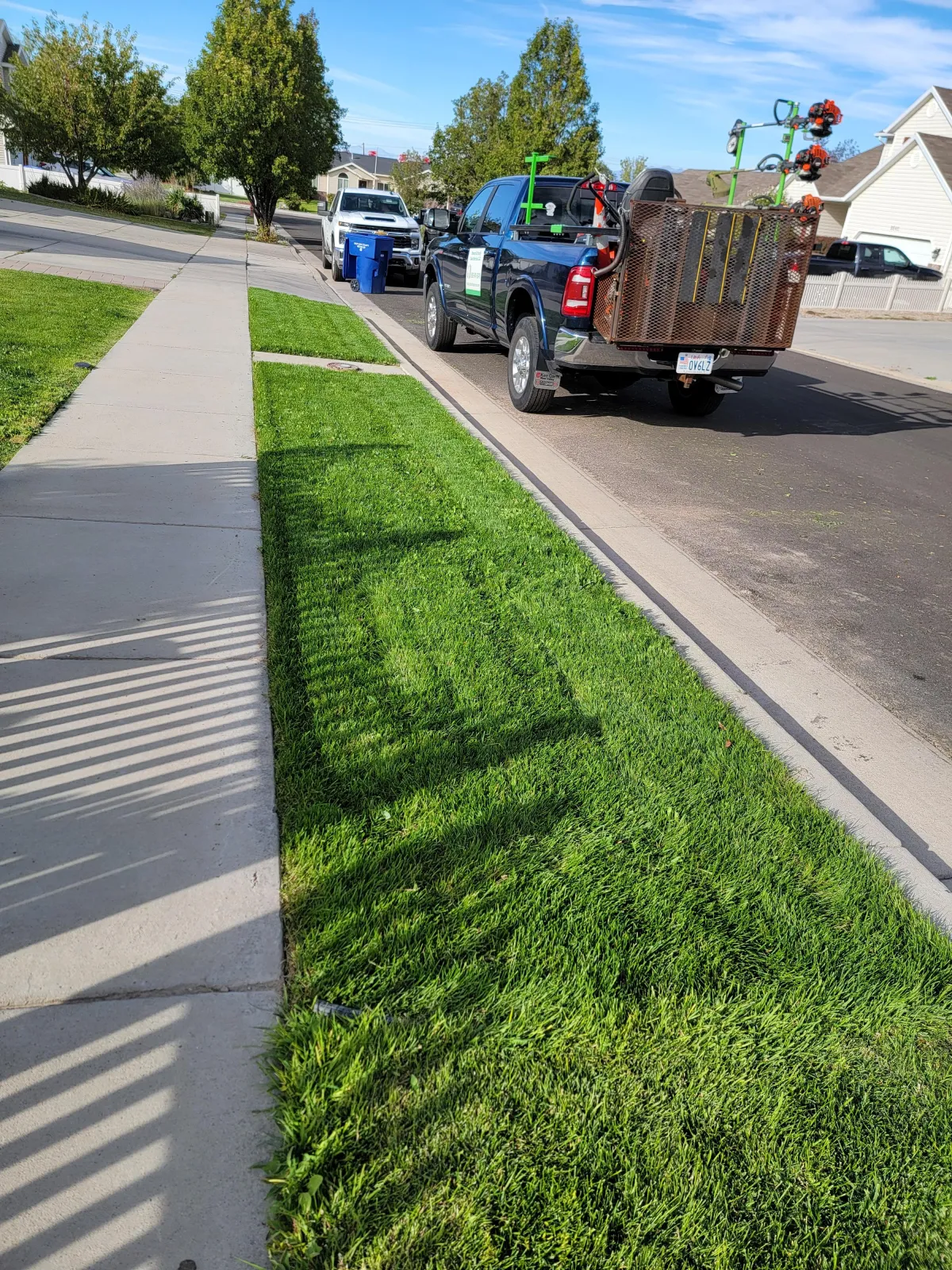 Sod installation by Howard and Family Lawn Service in West Valley
