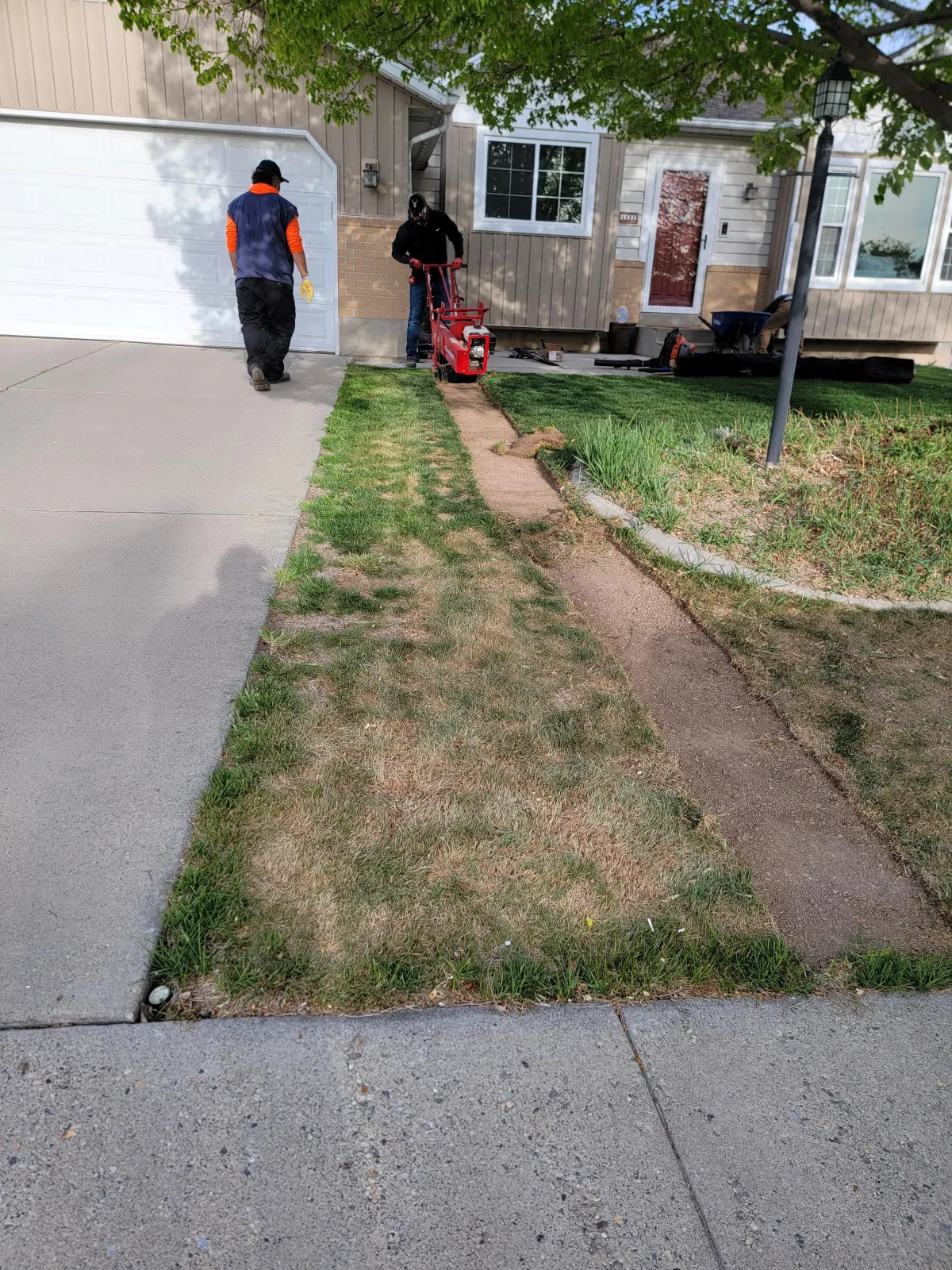 Sod installation by Howard and Family Lawn Service in West Valley