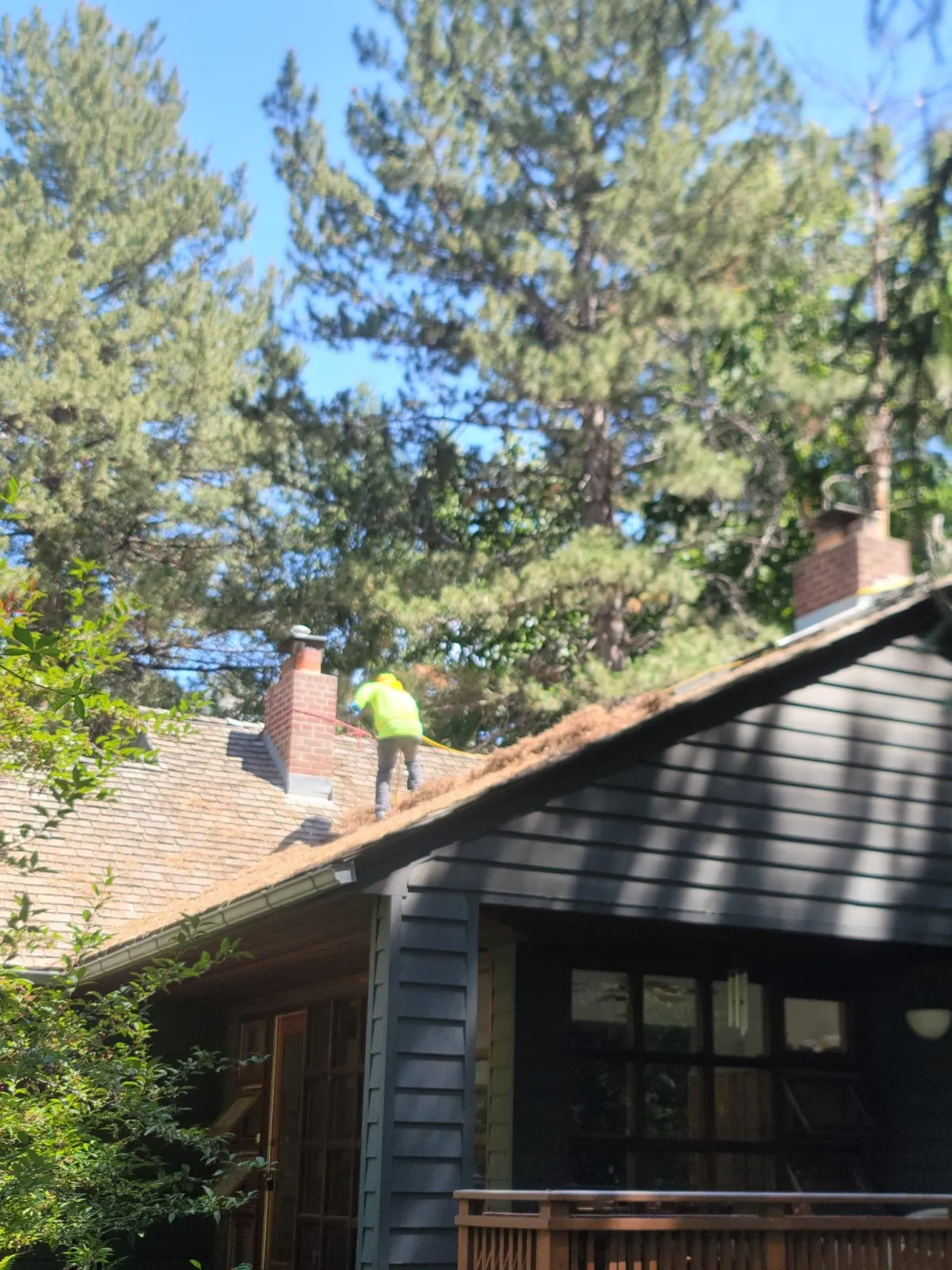 Seasonal yard cleanup service in West Valley by local lawn pros