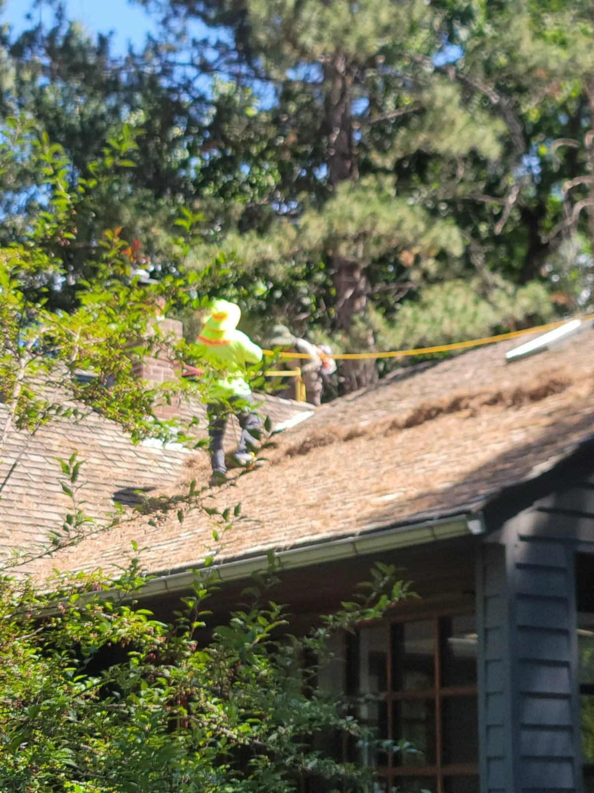 Fall leaf removal by Howard and Family Lawn Service in West Valley City