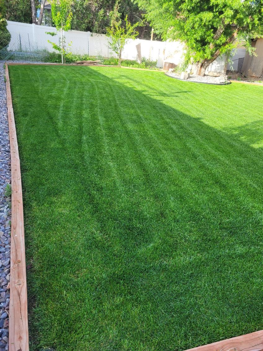 Lawn mowing in West Valley City by Howard and Family Lawn Service using commercial-grade mower