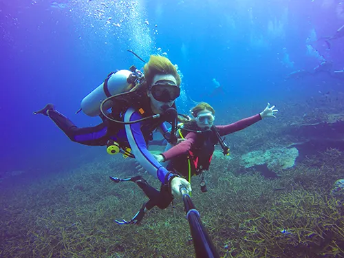 Diving in Maldives